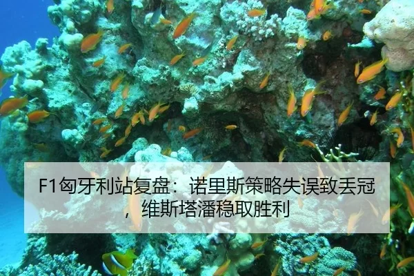 xiong-ya-li-zhan-fu-pan-nuo-li-si-ce-lve-shi-wu-zhi-diu-guan-wei-si-ta-pan-wen-qu-sheng-li-3-942.jpg